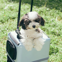 画像をギャラリービューアに読み込む, 3001-M iCO / PETiCO ペチコ M-サイズ ペットキャリー