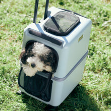 画像をギャラリービューアに読み込む, 3001-M iCO / PETiCO ペチコ M-サイズ ペットキャリー