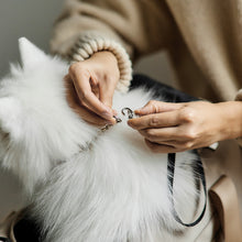 画像をギャラリービューアに読み込む, 3003-S noa Sサイズ/ PETiCO ペチコ ダッフルバッグ
