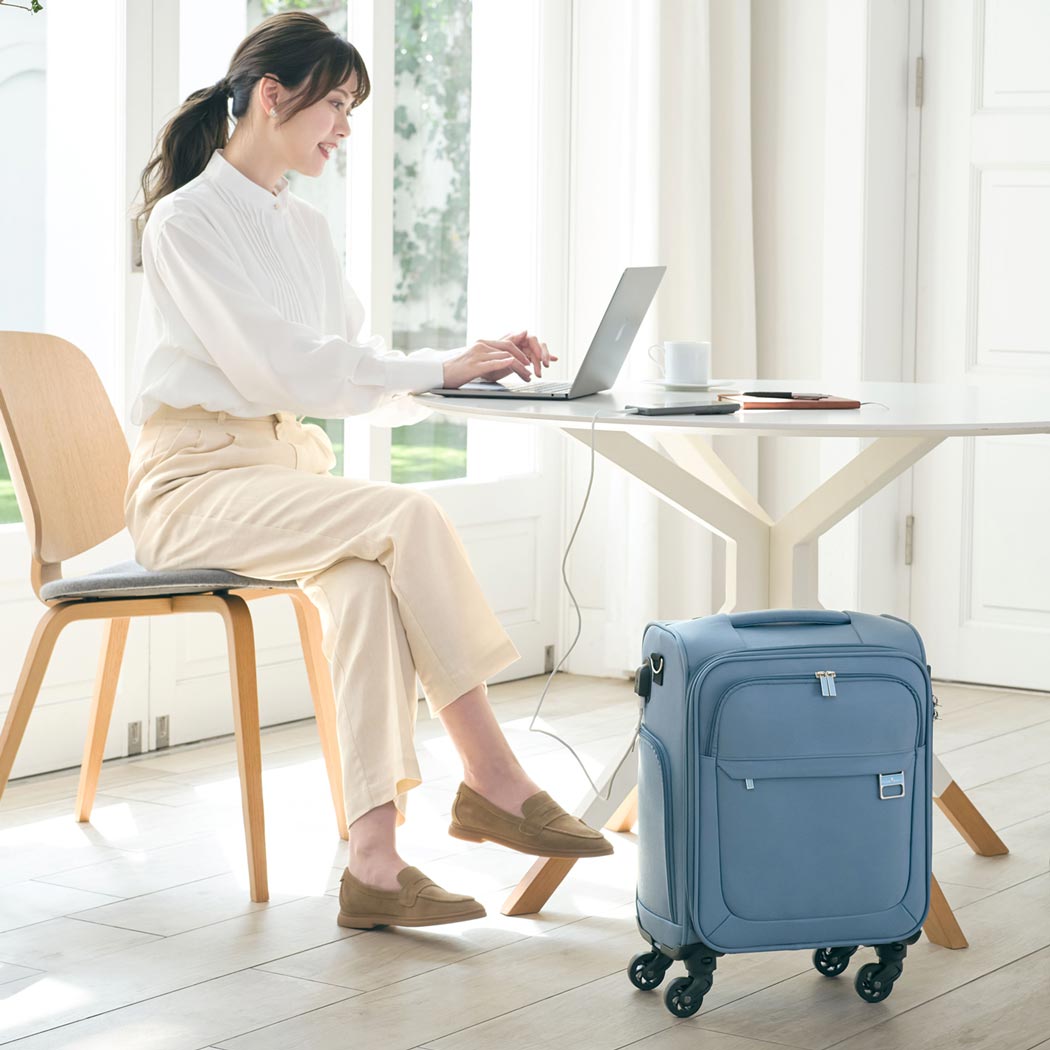 4053-42 HARMONY(ハーモニー) ソフトケース